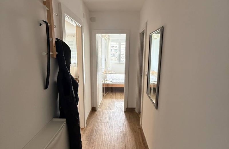 Alquiler de un acogedor piso de 2 habitaciones, 46 m², en el distrito de Vračar, Belgrado, Serbia